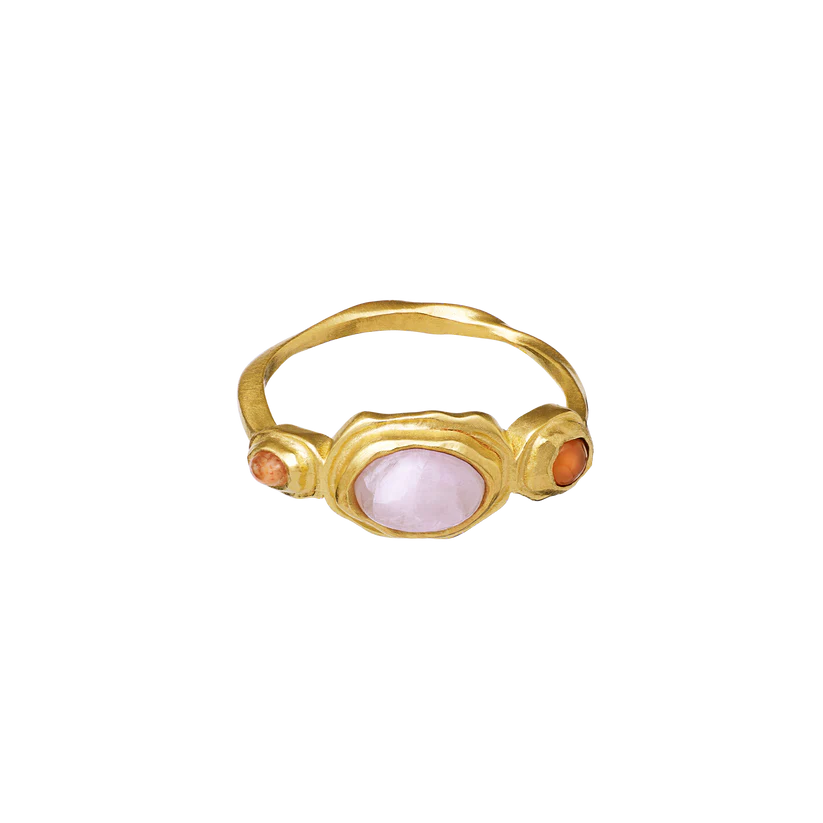 Nemo ring Gold