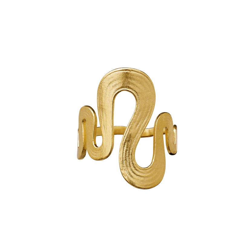Sasja ring