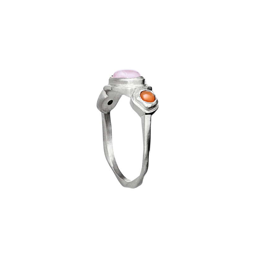 Nemo ring Silver
